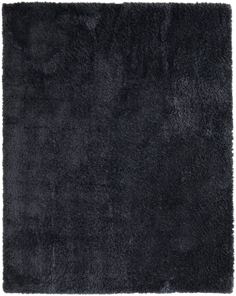 Darian Modern Solid Black Area Rug (2' x 3')