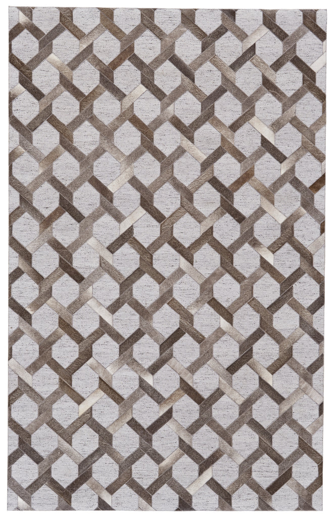 Fannin Transitional Geometric Gray Taupe Silver Area Rug (8' x 11')