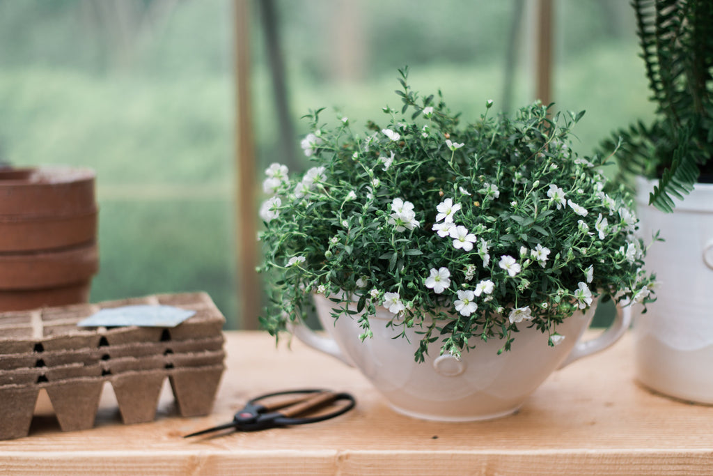 White Handthrown Serving Bowl