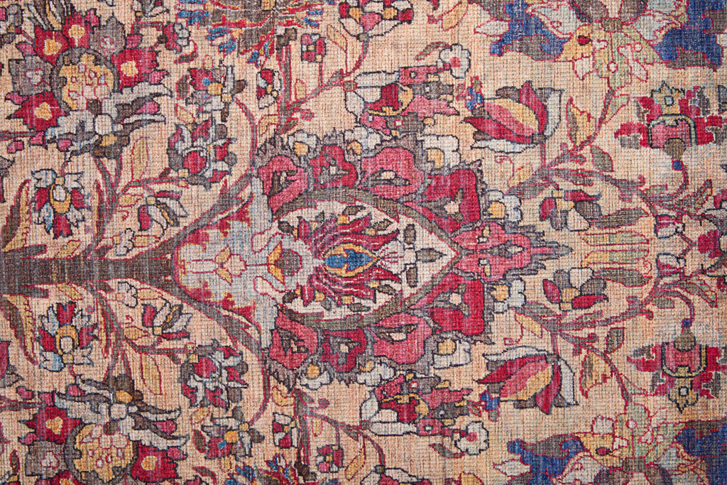 Rawlins Transitional Oriental Red Tan Pink Area Rug (8'10" x 12')