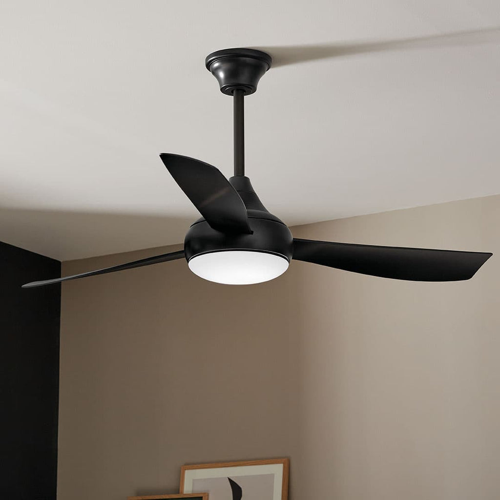 Ample Fan