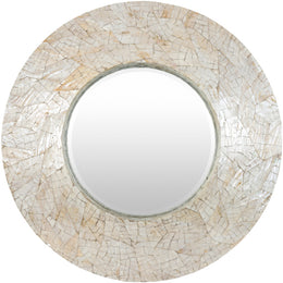 Iridescent Accent Mirror