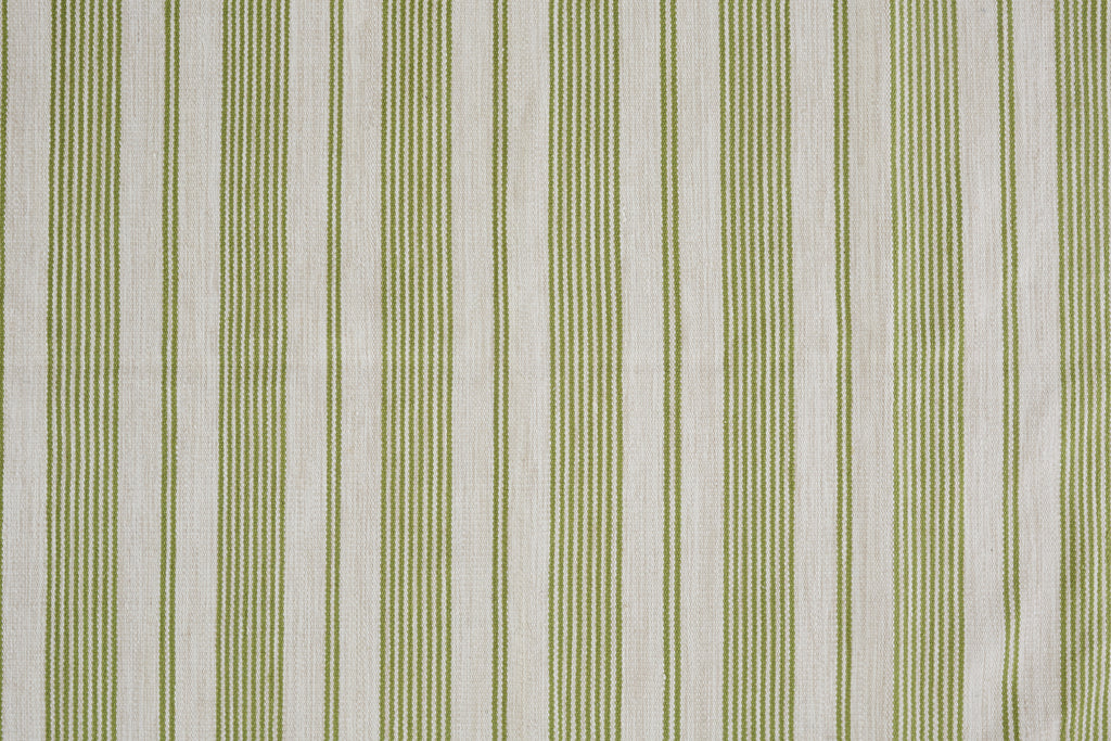 Duprine Transitional Stripes Green Ivory Area Rug (2' x 3')