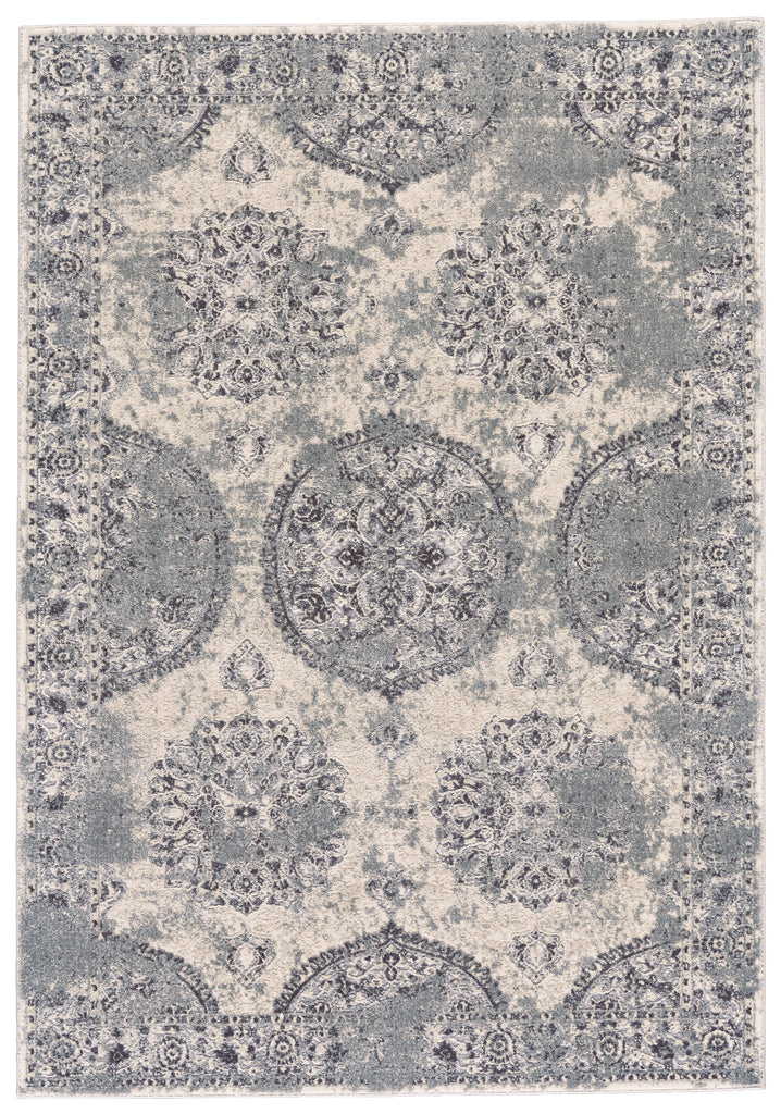 Akhari Transitional Distressed Gray Ivory Area Rug (10' x 13'2")