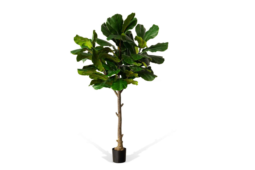 Artificial Fiddle Leaf Tree (78")