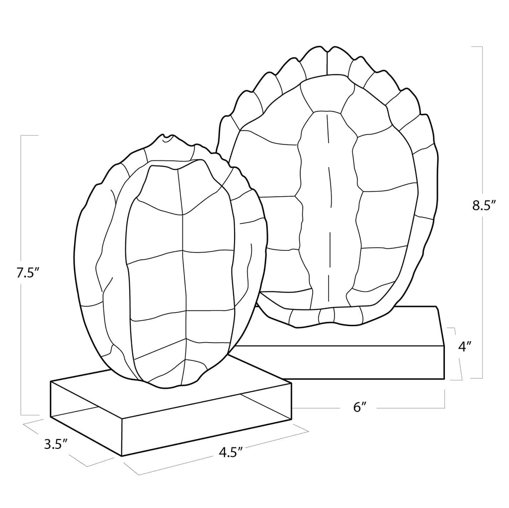 Turtle Shells On Crystal - Set of 2 Small