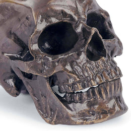 Metal Skull - Antique Bronze