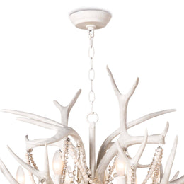 Cheyanne Antler Chandelier