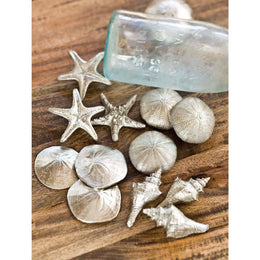Assorted Mini Seashells Set of 12 - Silver