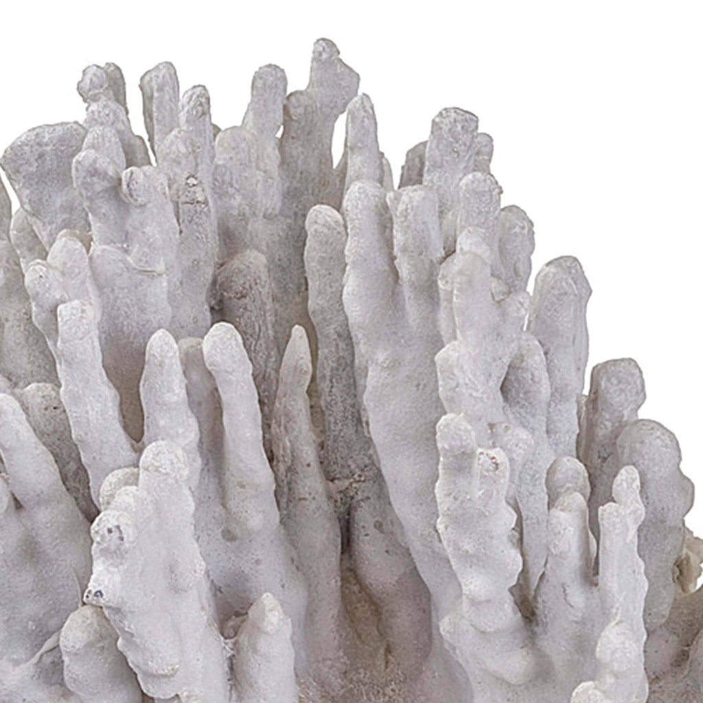 Coral Art Piece Large - White