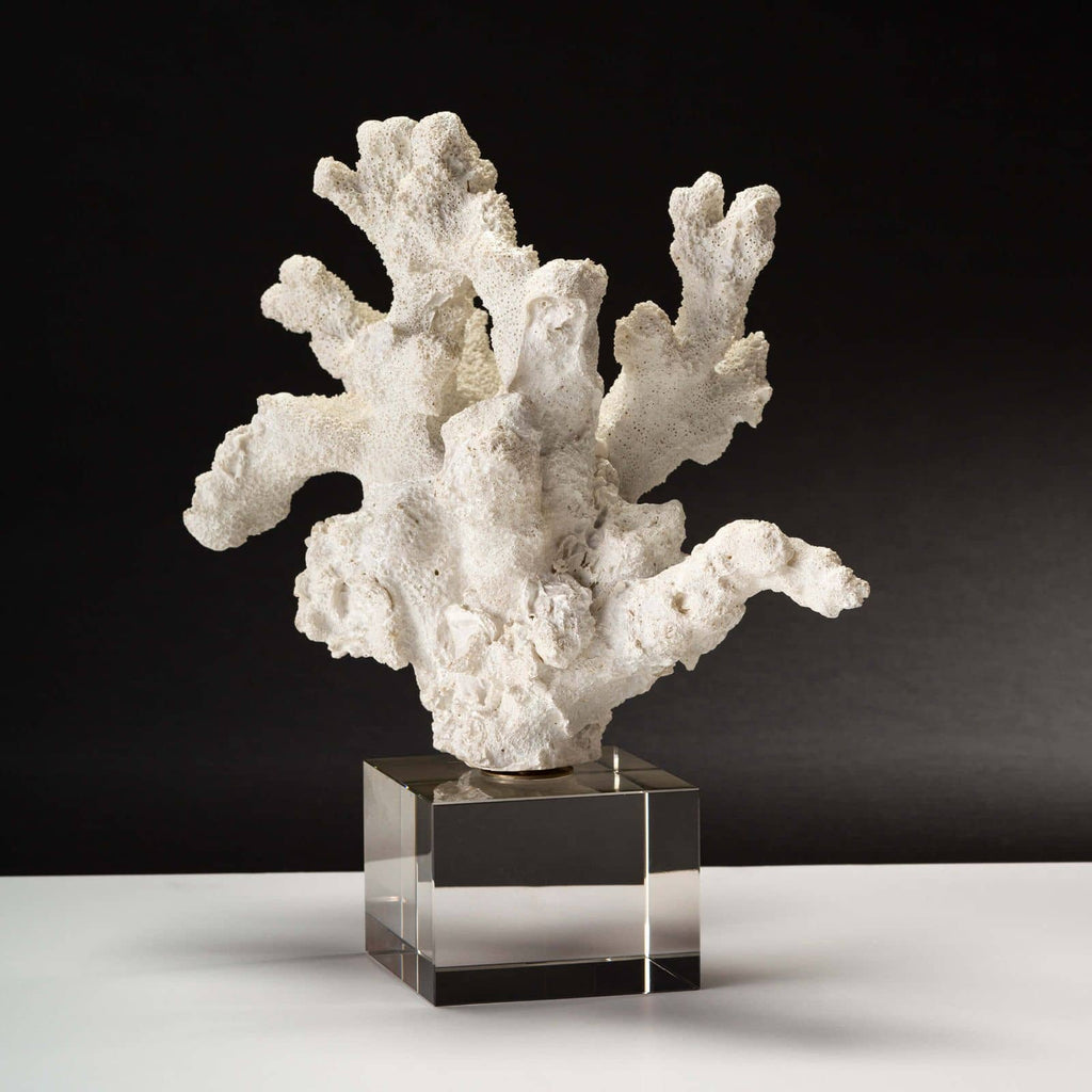 Triton Coral Accessory