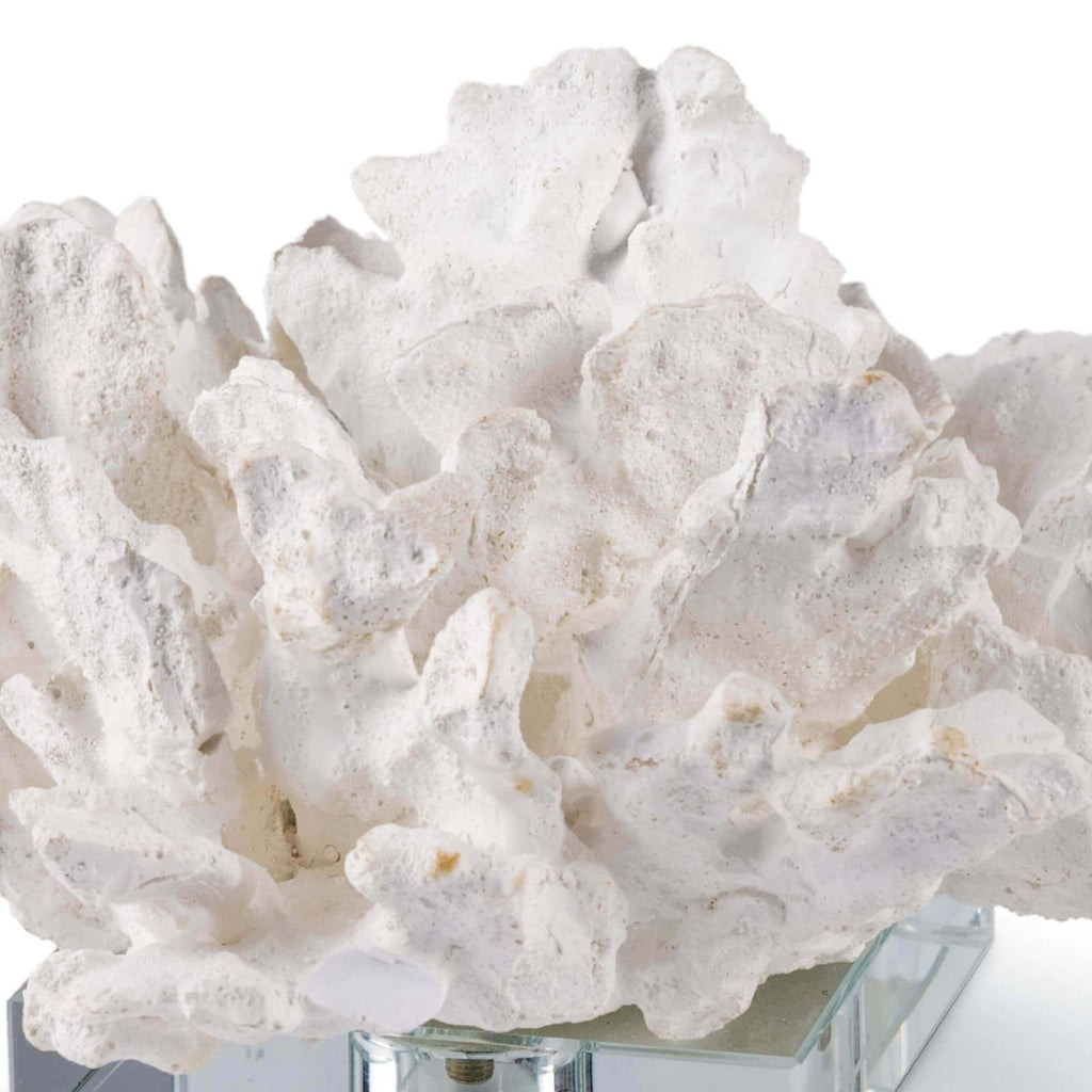 Flower Coral On Crystal Base - White