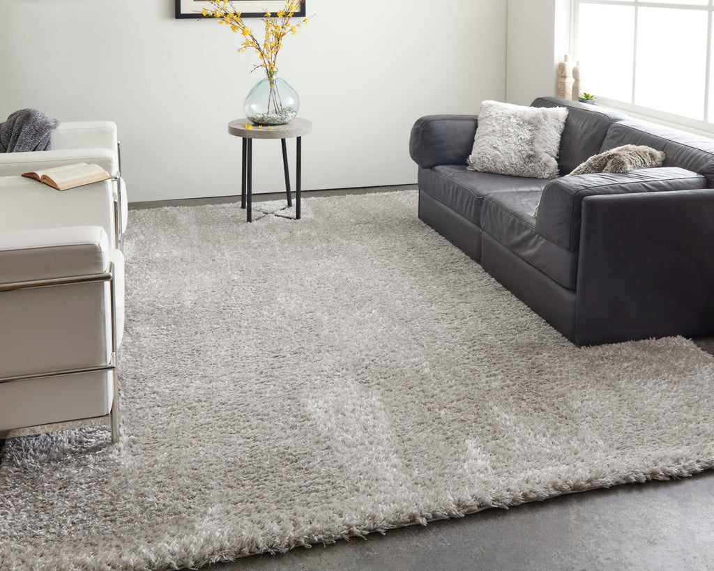 Darian Modern Solid Silver Gray Area Rug (5' x 8')