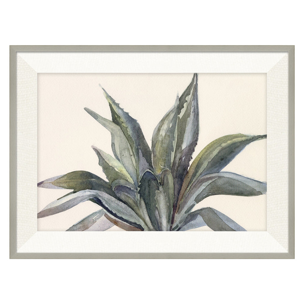 Agave Mia,By Barbara Barry