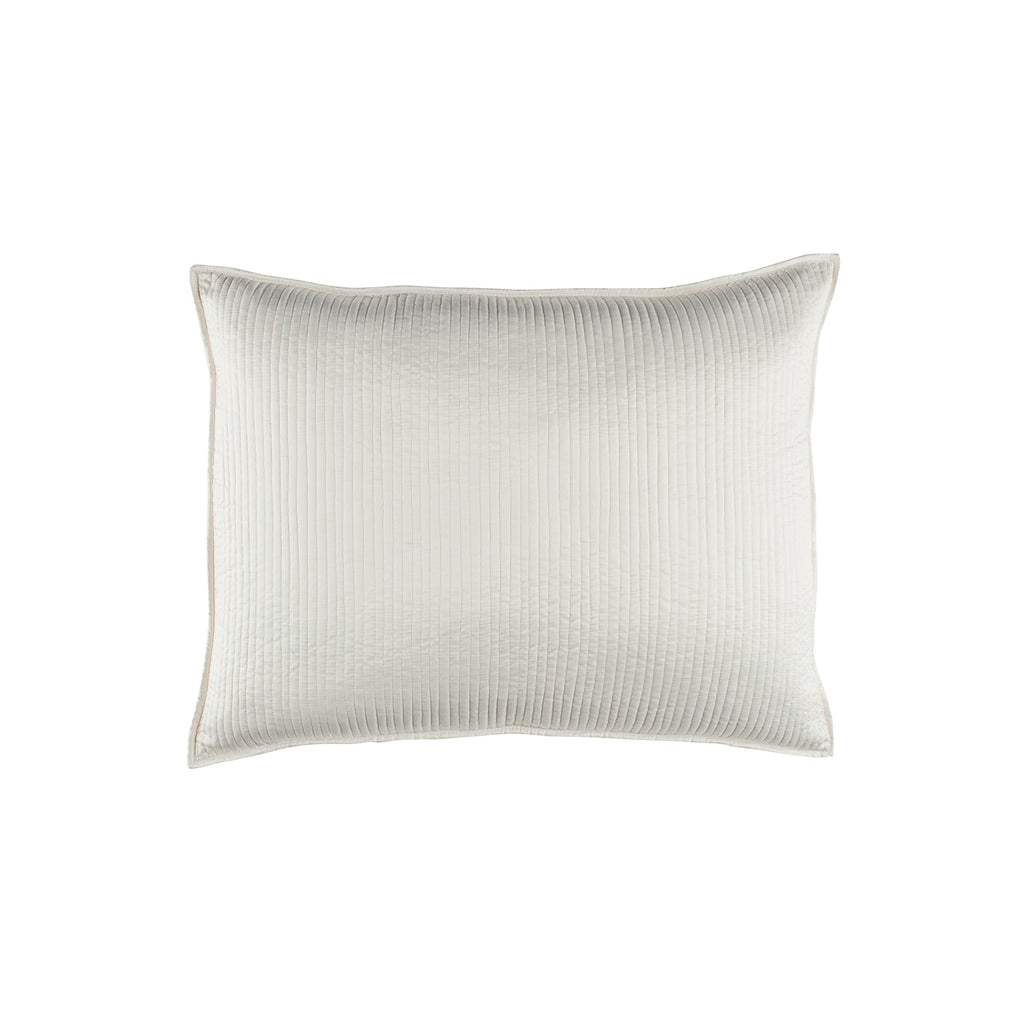 Retro Pillow Silk and Sensibility