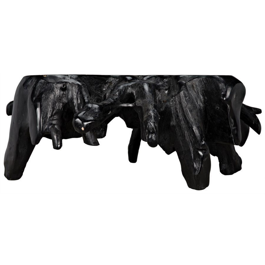 Teak Root Coffee Table, Black