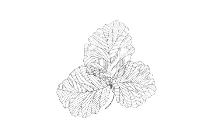 Tri Leaf Wall Art, Small, Metal, Silver/Black