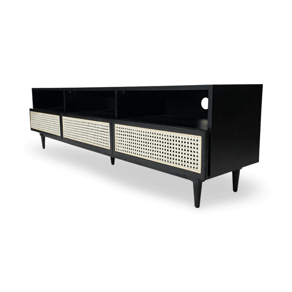 Cane Media Unit