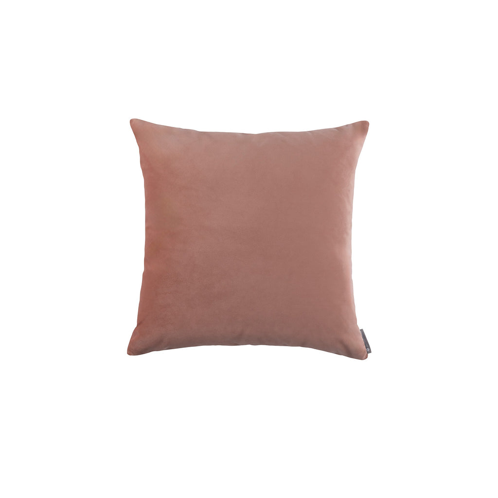 Vivid Shell Pillow