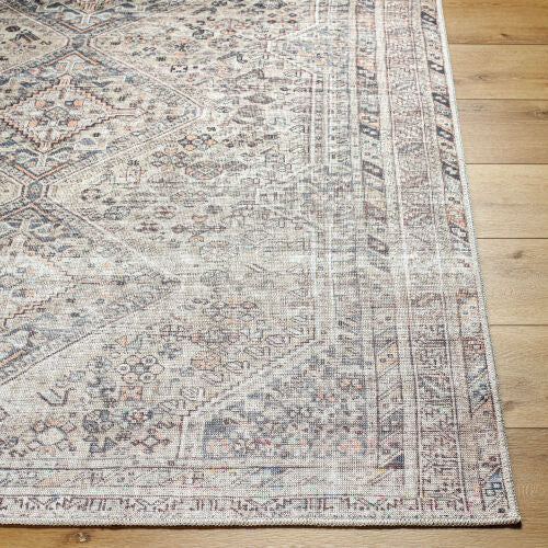 Eleni Machine Woven Rug, VVEL-2301