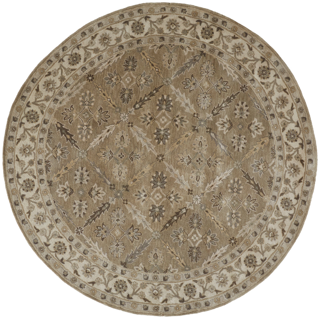 Eaton Traditional Oriental Green Brown Taupe Area Rug (10' x 10')