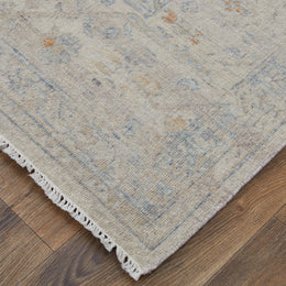 Wembley Transitional Distressed Ivory Blue Gray Area Rug (4' x 6')