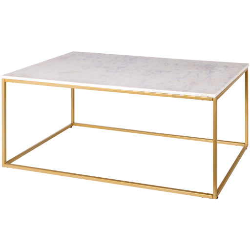 Aryaa Coffee Table