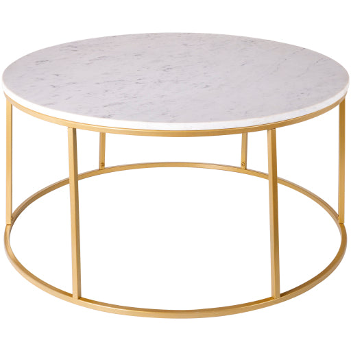 Aryaa Coffee Table