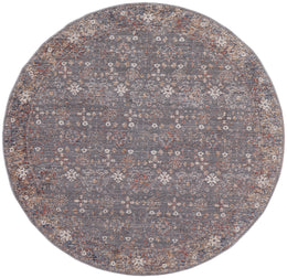 Thackery Transitional Oriental Gray Pink Red Area Rug (9' x 12'7")