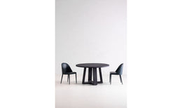 Burton Dining Chair - Dark Teal, Set Of Two