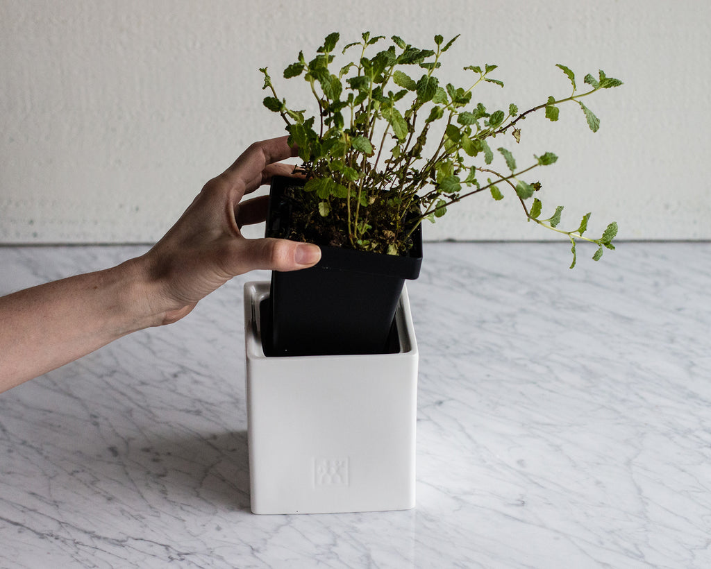 Ceramic Medium Box W/ Herb Pot, Lid