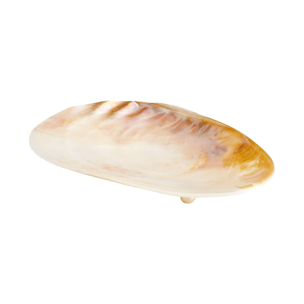 Small Abalone Tray
