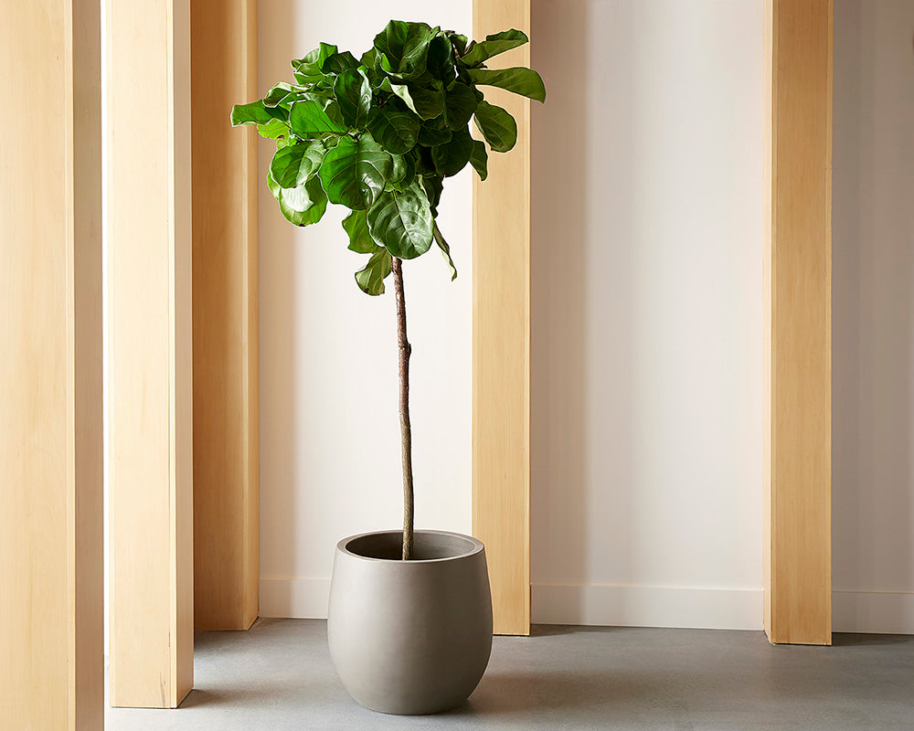 Rosen Planter