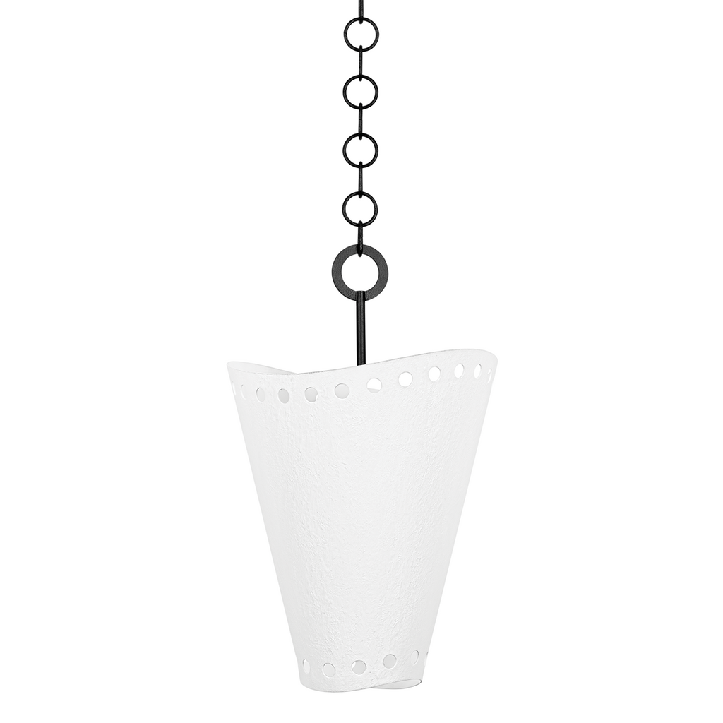 Visalia 1 Light Pendant - Forged Iron 23.25"