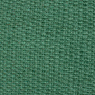 Kravet Basics - 18046-3 (Sample)