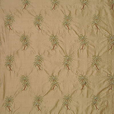 Ornamental Palm (Sample)