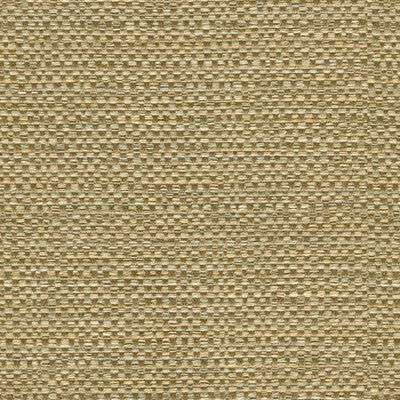 Kravet Design - 27952-4116 (Sample)