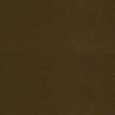 Kravet Basics - 28088-303 (Sample)