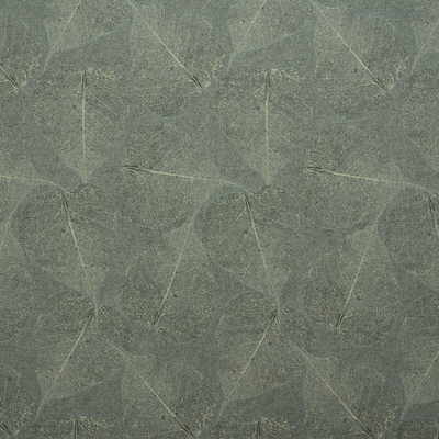 Kravet Basics - 28436-435 (Sample)