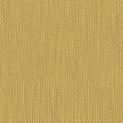 Kravet Basics - 28975-3 (Sample)