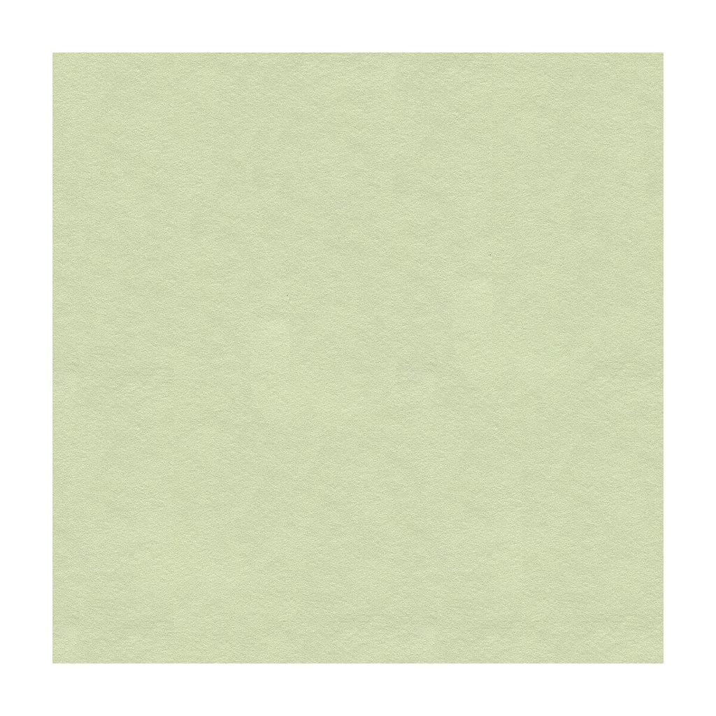 Ultrasuede Green - Minty