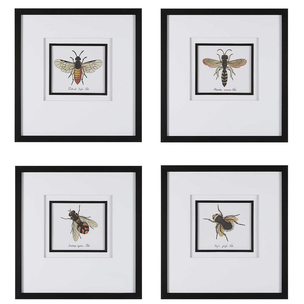 Anthophila Framed Prints, Set Of 4