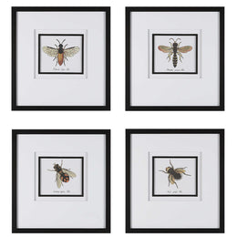 Anthophila Framed Prints, Set Of 4