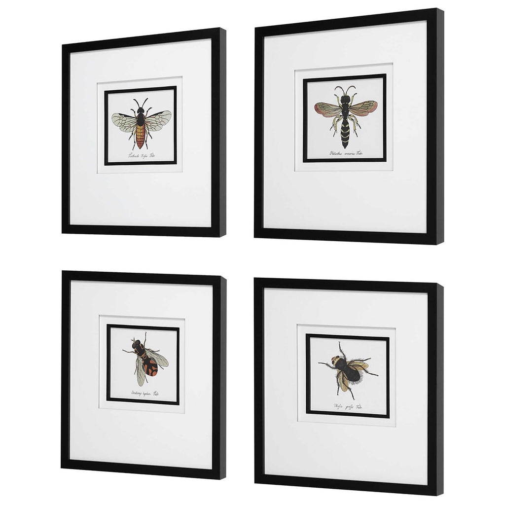 Anthophila Framed Prints, Set Of 4