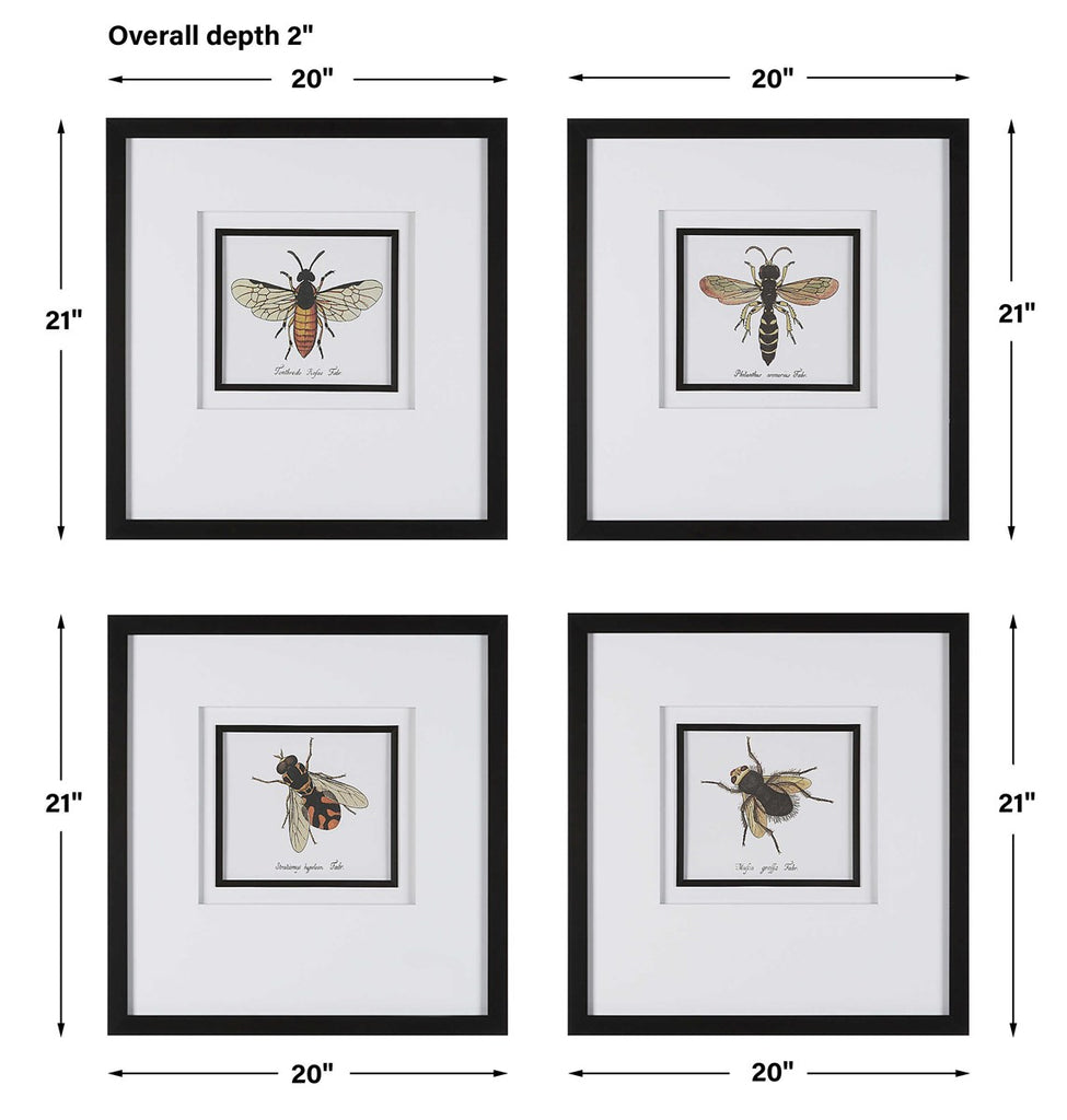 Anthophila Framed Prints, Set Of 4