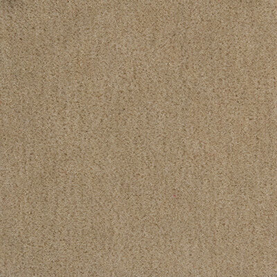 Bachelor Mohair - Shale (Sample)