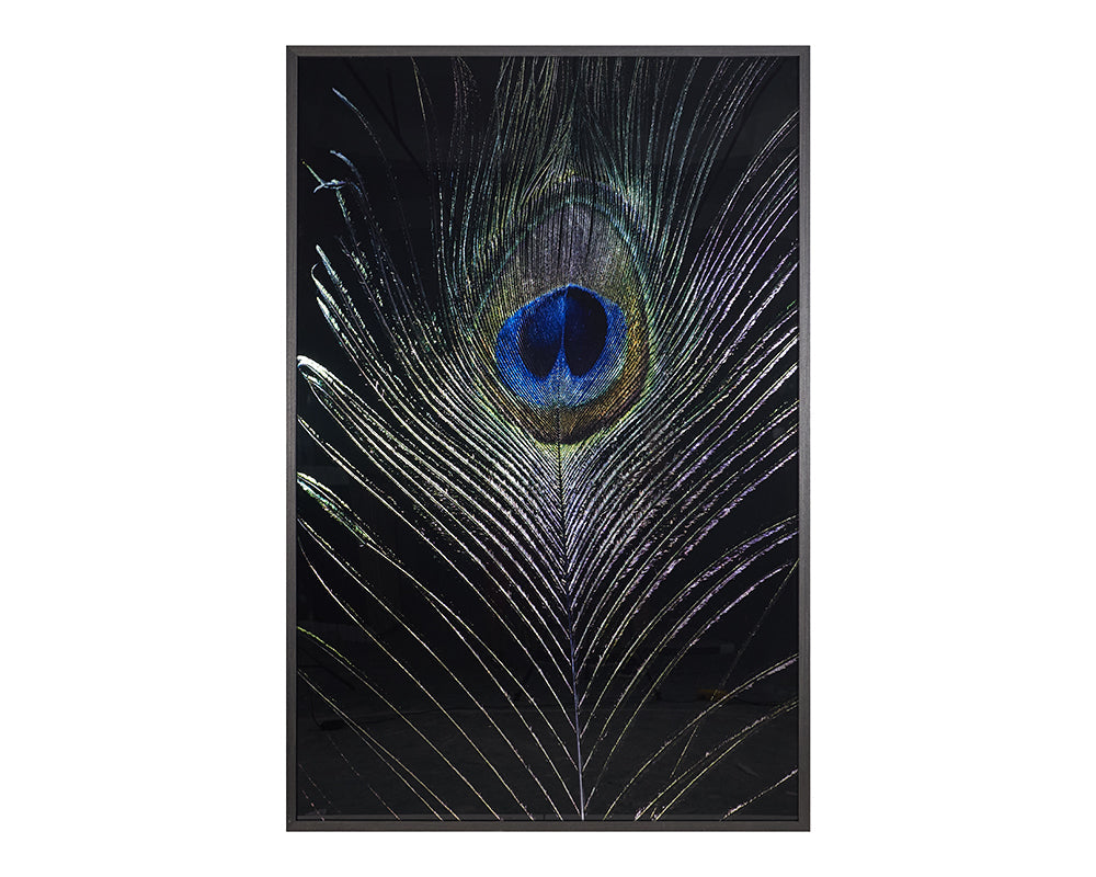 Lost Feather - 48" X 72" - Charcoal Frame