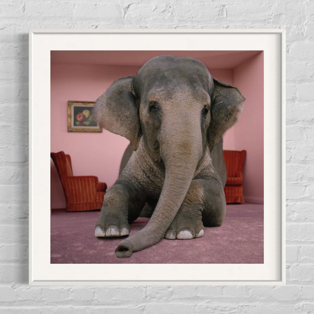 Asian Elephant In Lying On Rug In Living Room By Matthias Clamer Via Getty Images Gallery Print