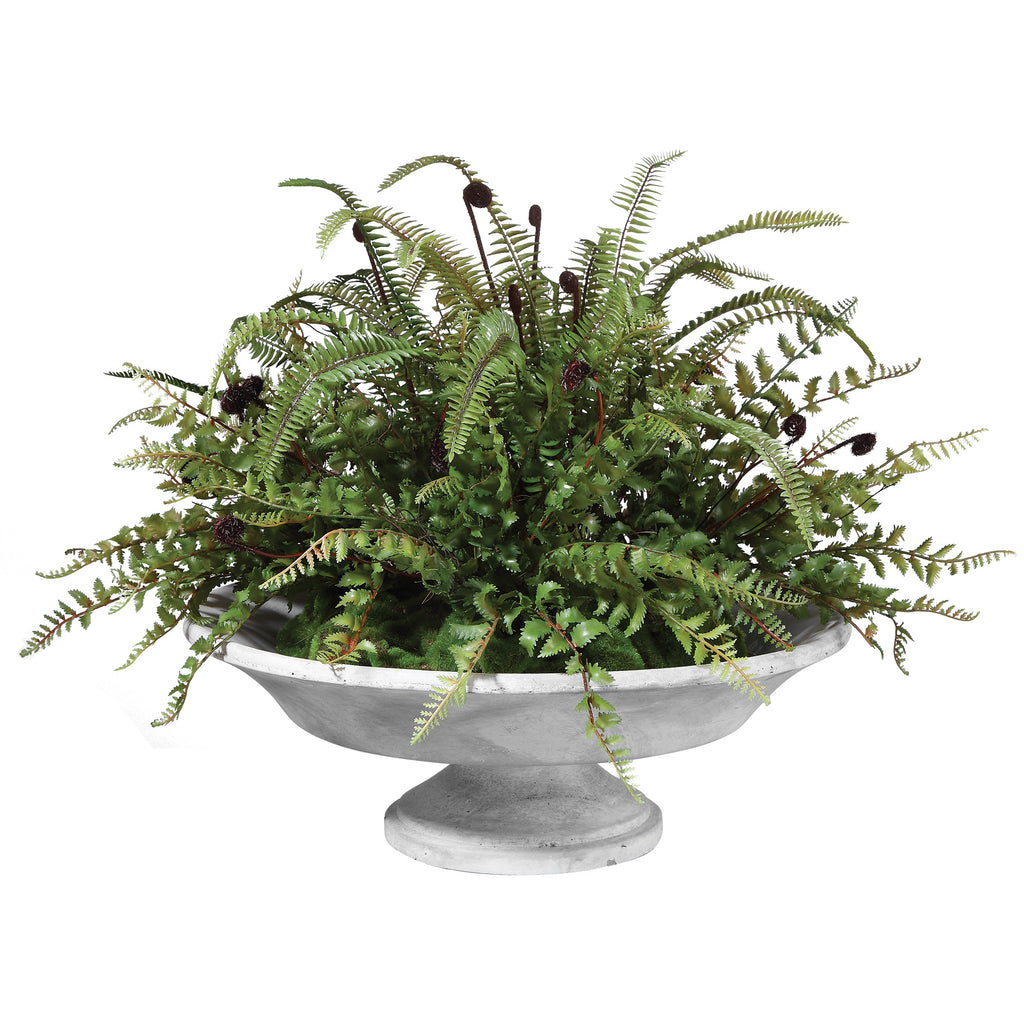 Mabry Fern Centerpiece