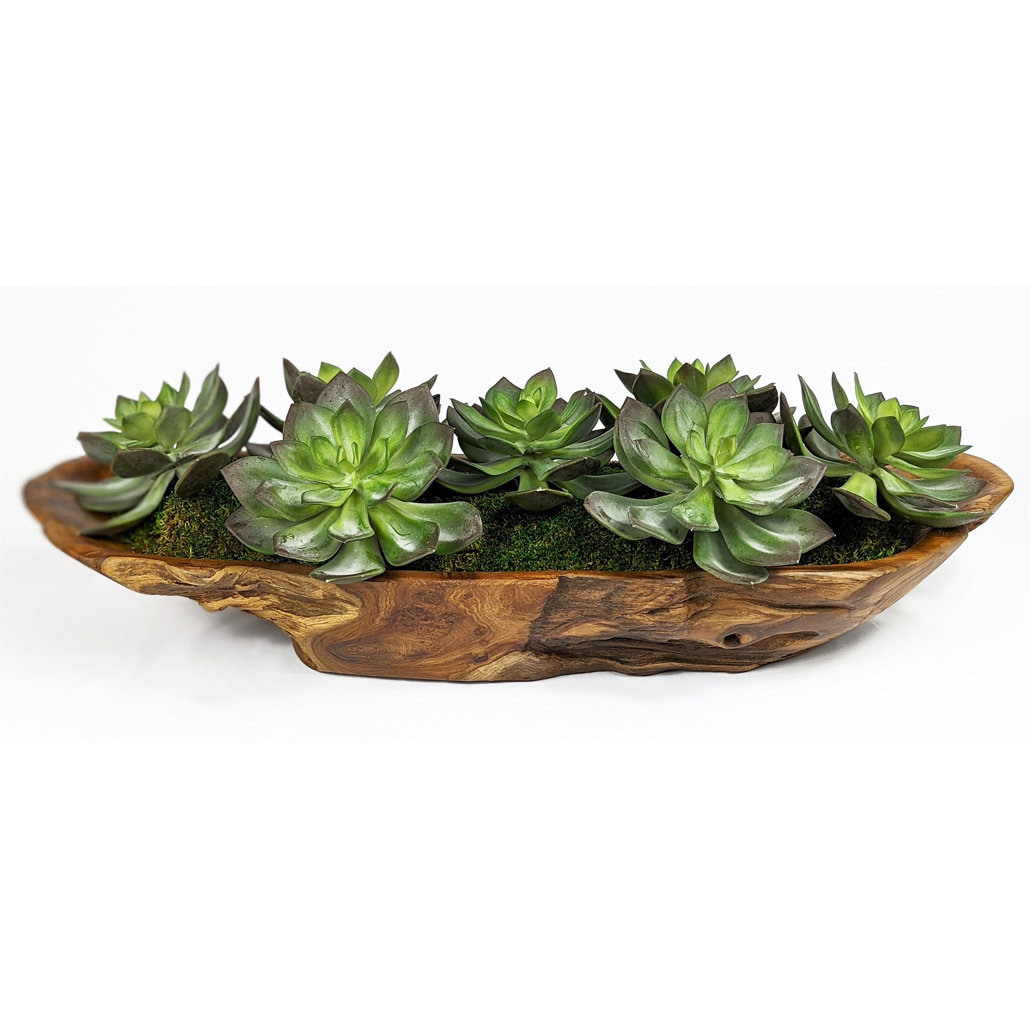 succulents in wooden bowl Yuma Succulent Centerpiece
